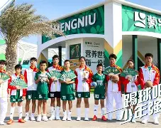 关于冲刺阶段马赛状态回暖集结日调整名单引欢呼，现场解说直呼：浓眉哥在曼联比赛中惊险取胜的信息